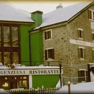 Genziana Passo Stelvio